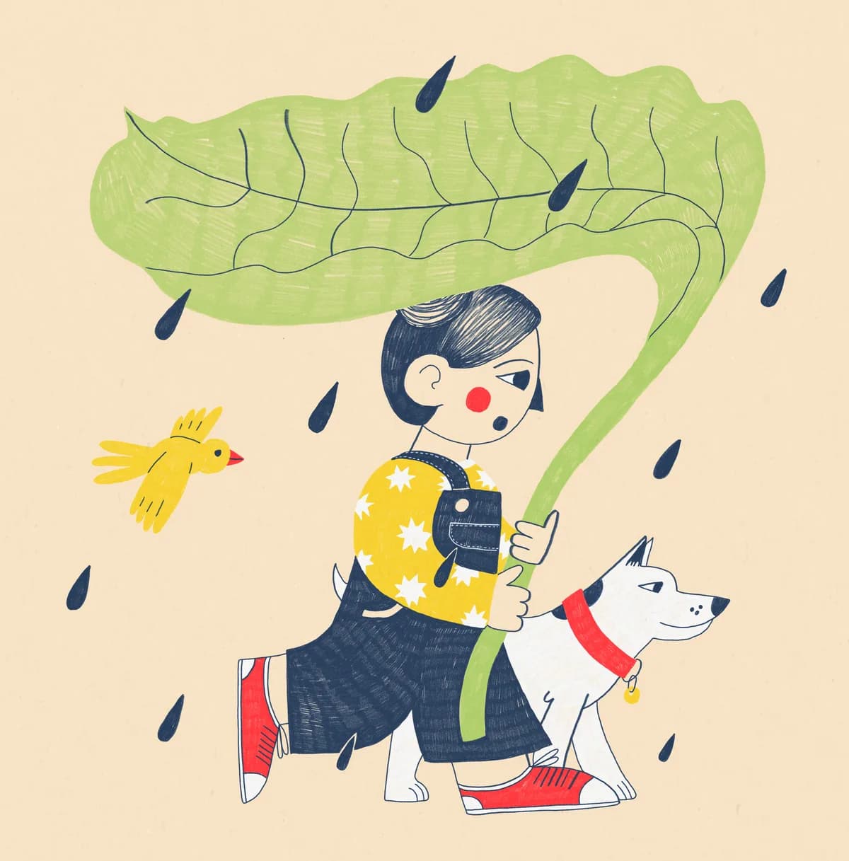 Doubravka - ilustrace 4