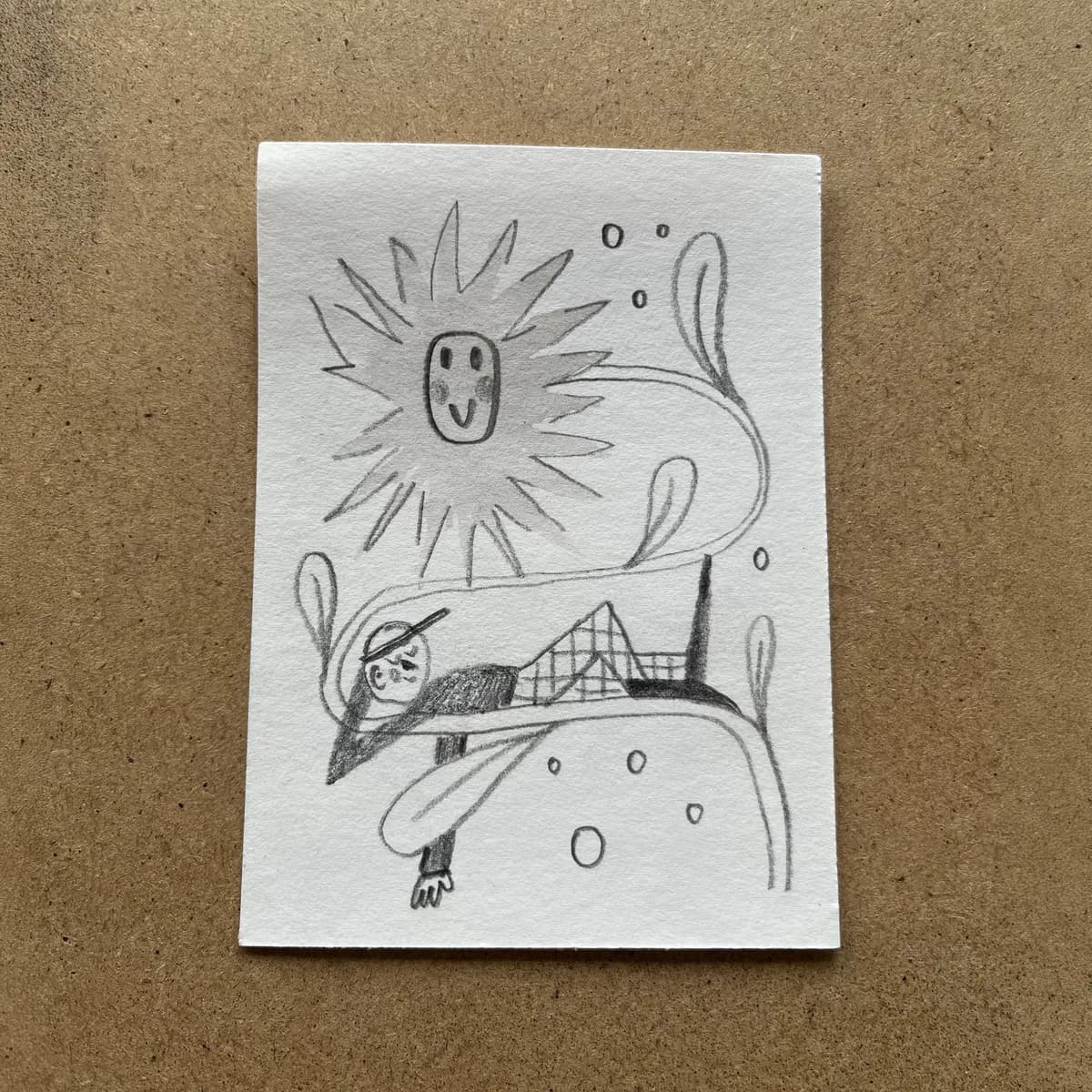 Evoluce květu - ilustrace 4